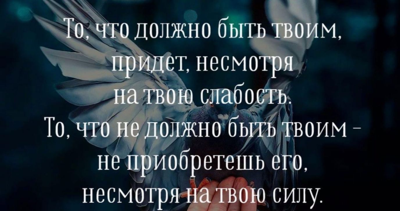 ЁЛЁЁОЁ Ч ЖНОбщЁВОИМ _ несмОТР СИЛУ