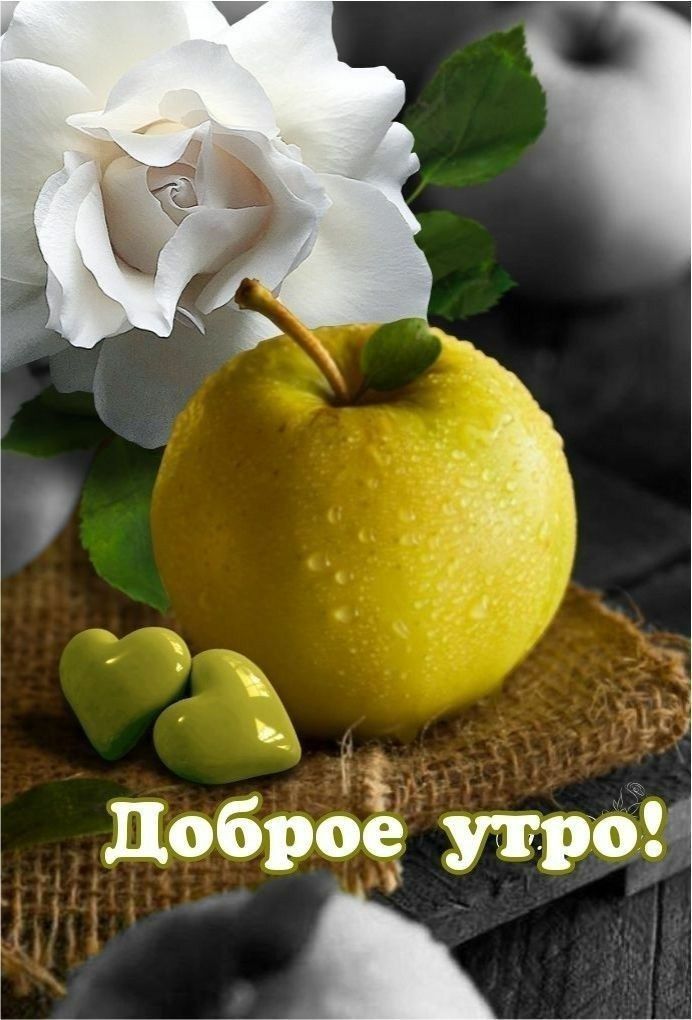добрбё утроя