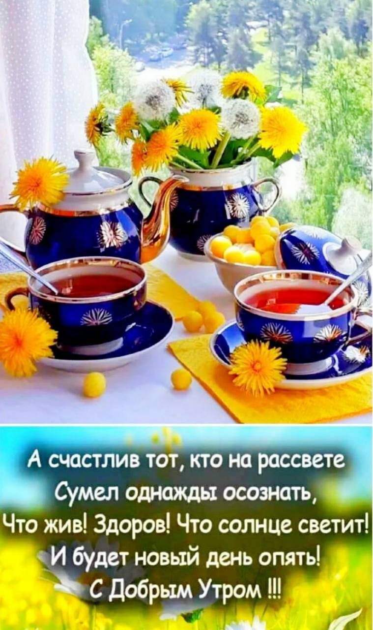 А счастлив тот кто на рассвете Сумеп однажды осознать _ Что жив Здоров Что солнце светит И будет новый день опять С добрым Утром