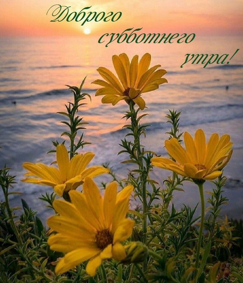 Йдбудгд уйдёттд