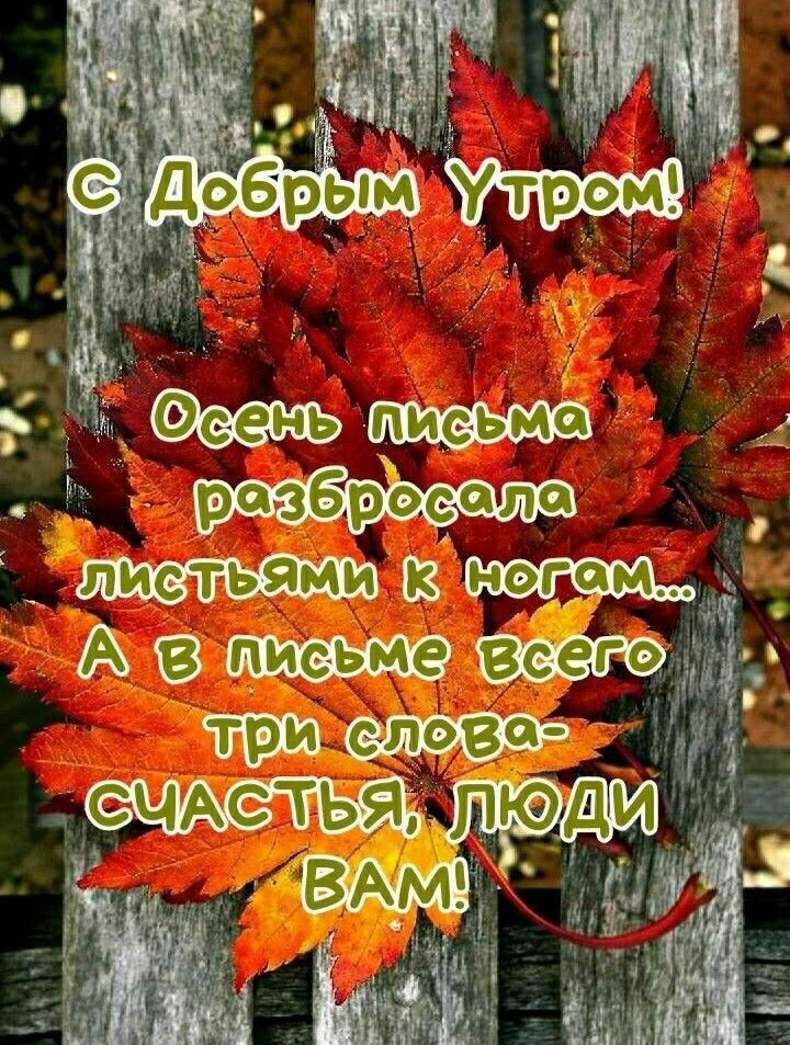 ЁЁ Феень с 33 рстзброела 3 ч