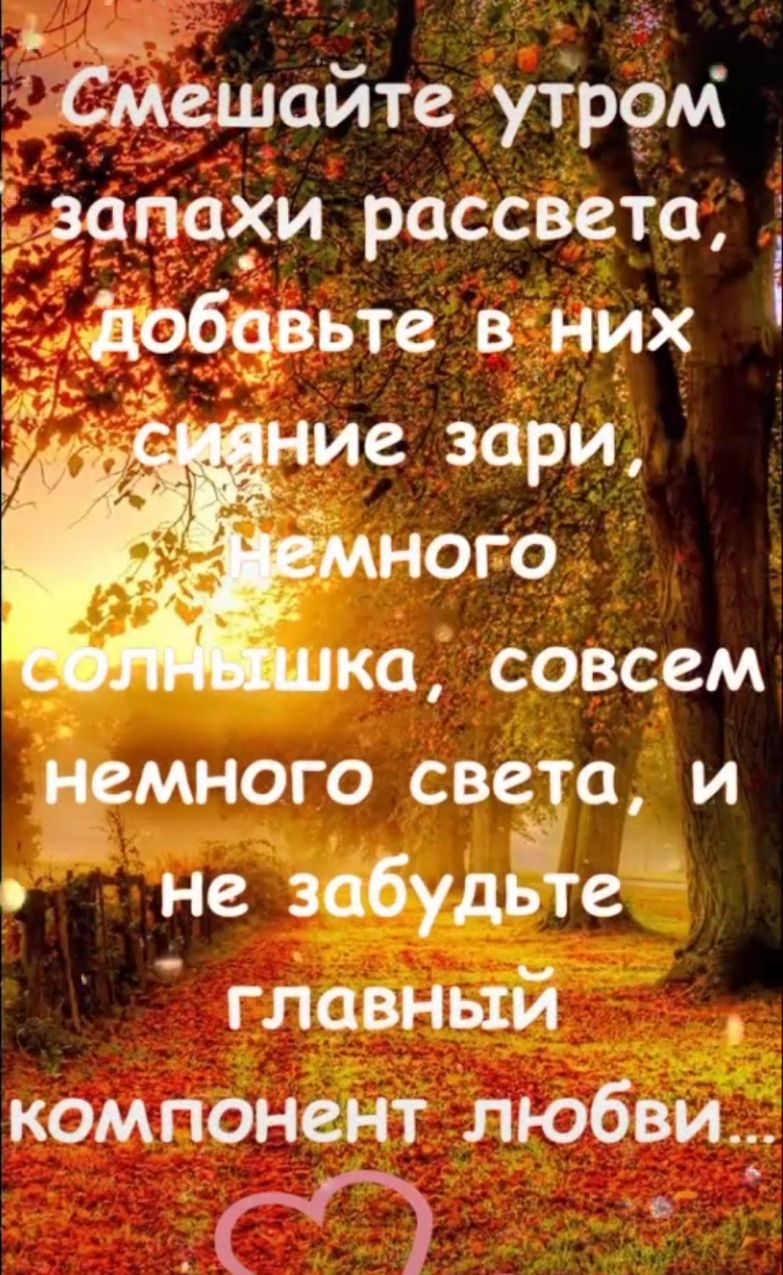 Смешайте утром запани рассвета _ _добовьте в них ка совсем немного света и не забудЁте главный компонент любви Ч