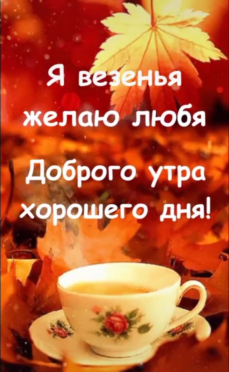 Я нья желаю любя Доброго утра хорошего дня