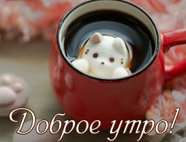 1д рое ухи3