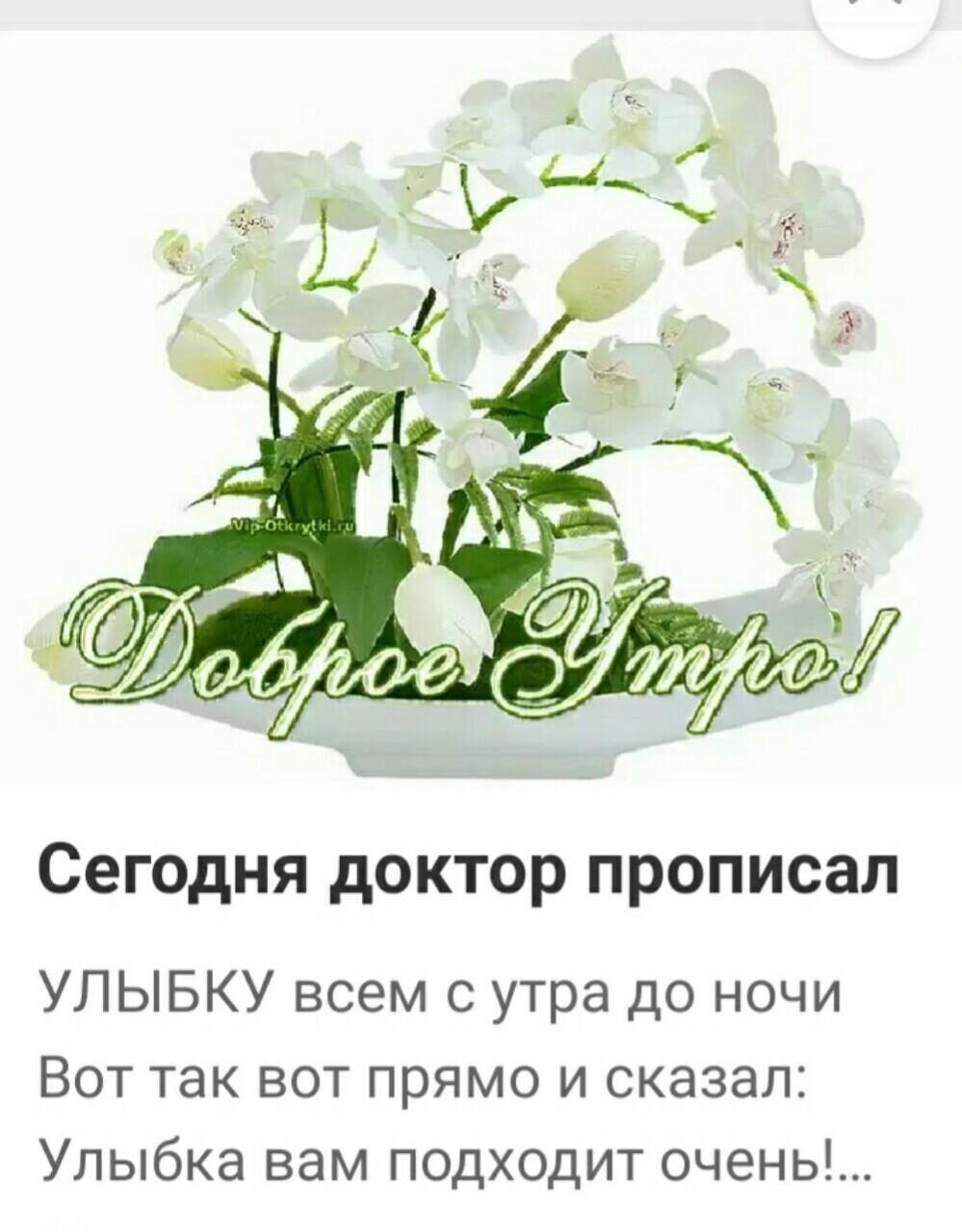 Сегодня доктор прописал УЛЫБКУ всем с утра до ночи Вот так вот прямо и сказал Улыбка вам подходит очень