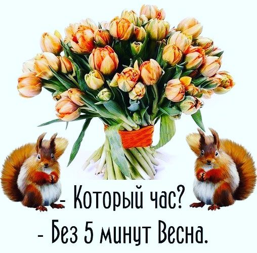 Без 5 минцт Весна