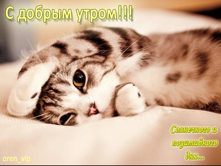 Ц