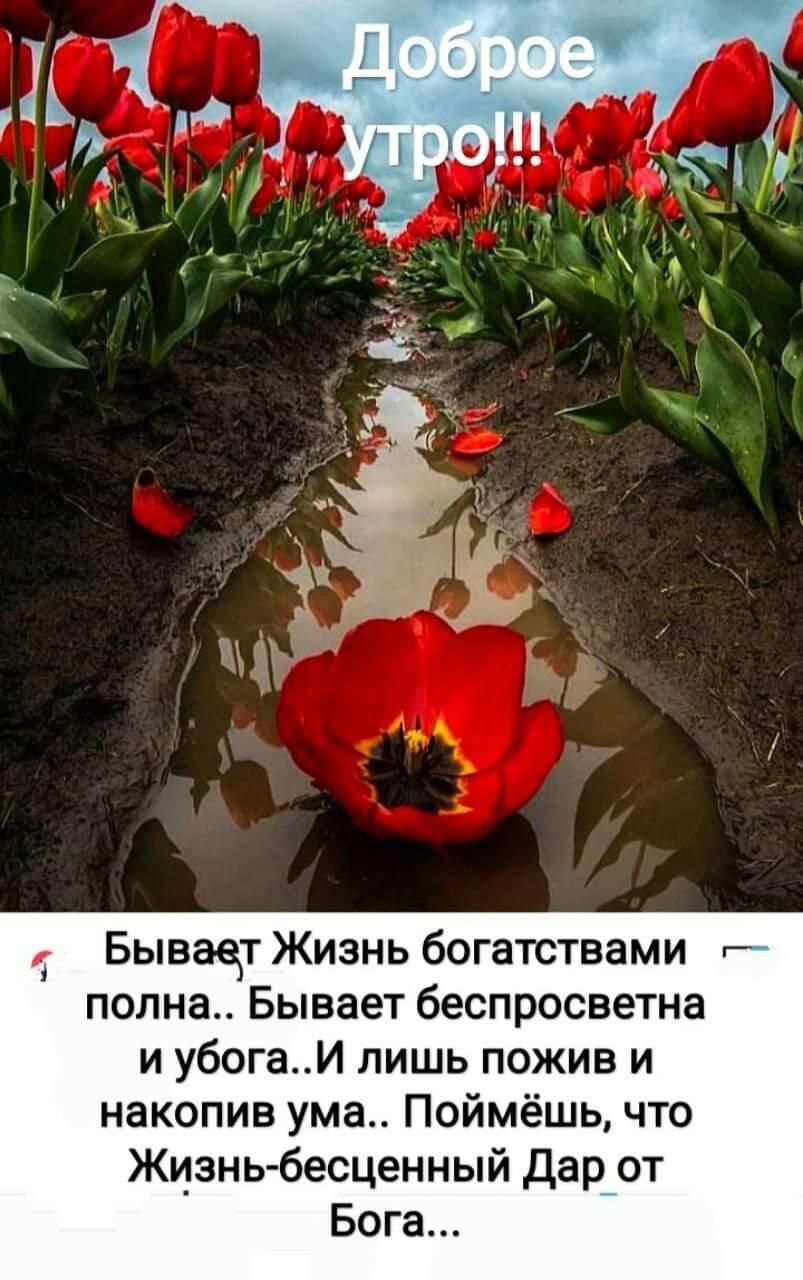 Бывает Жизнь богатствами г полна Бывает беспросветна и убогаИ лишь пожив и накопив ума Поймёшь что Жизнь бесценный дар от Бога