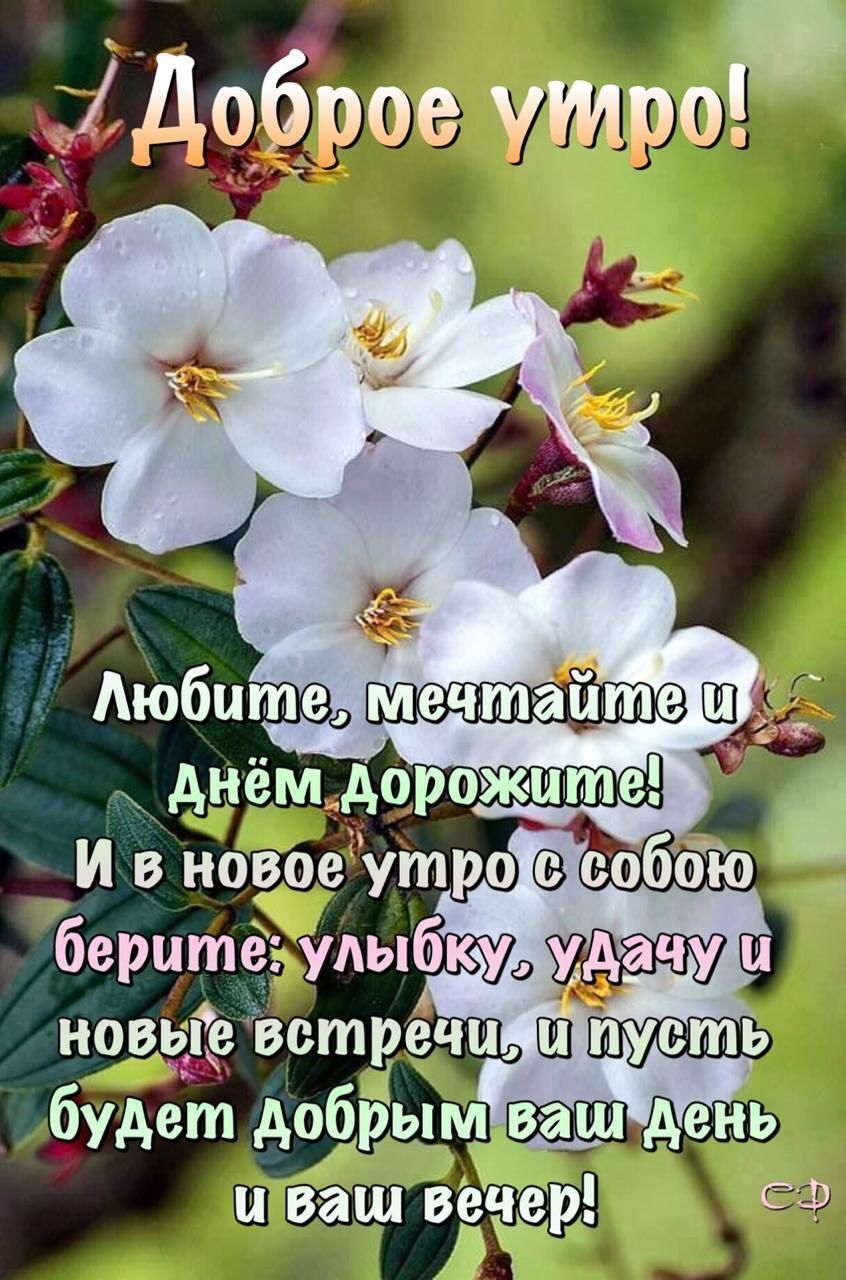 ідддддд_брое утроР е мечтайте х нём о ожил д А Р берите удыбку пощаде ветречы Ш пусть будет дебрым день и ваш ВЁЁЁР ЕФ