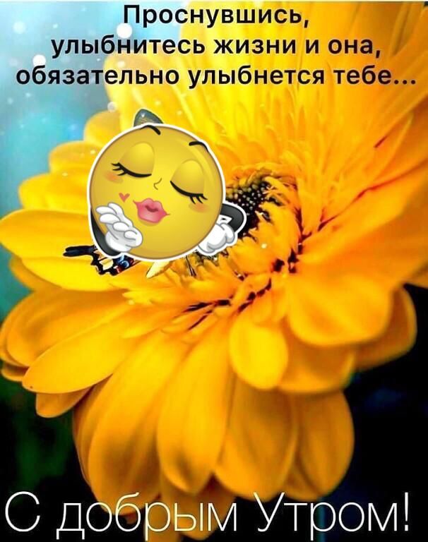 ь Жизни и она инбмжм тебе