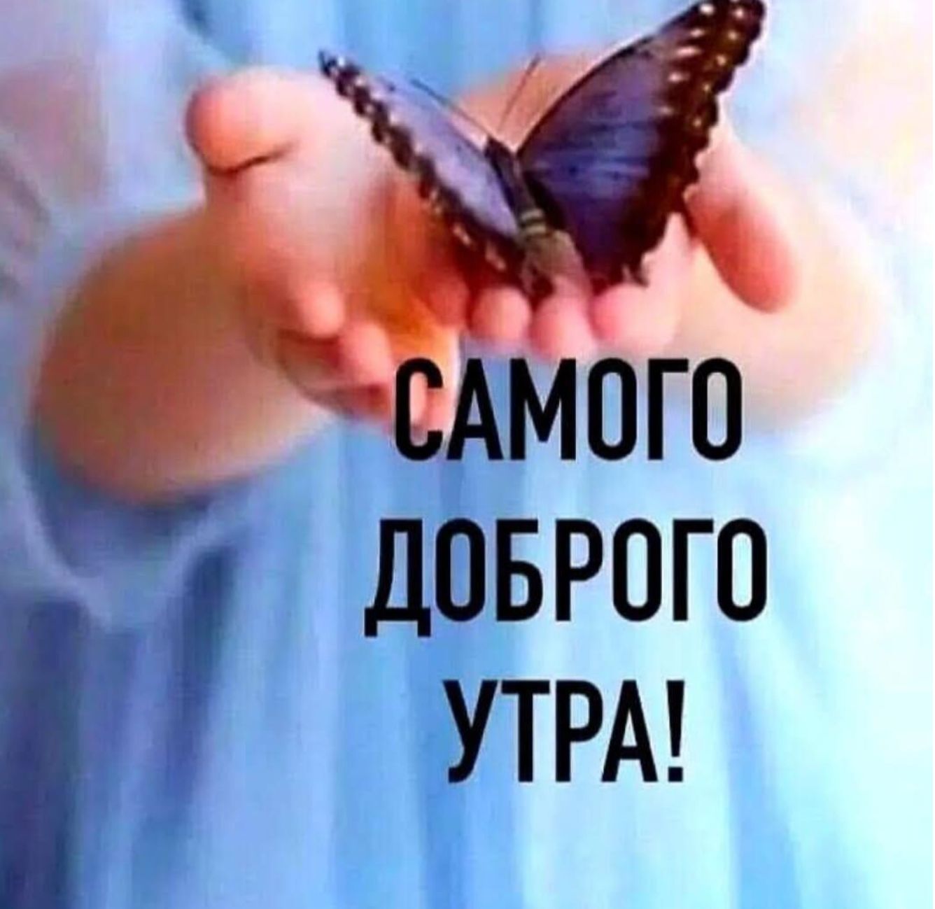ДОБРОГО УТРА