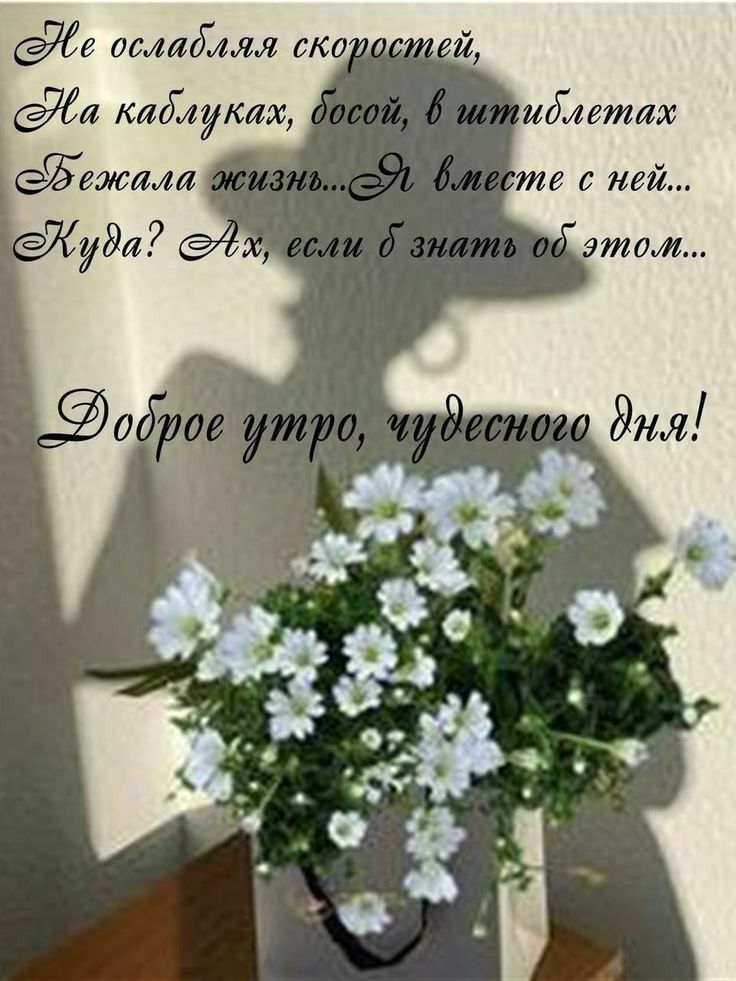 осшалаш то и 9 каймустс