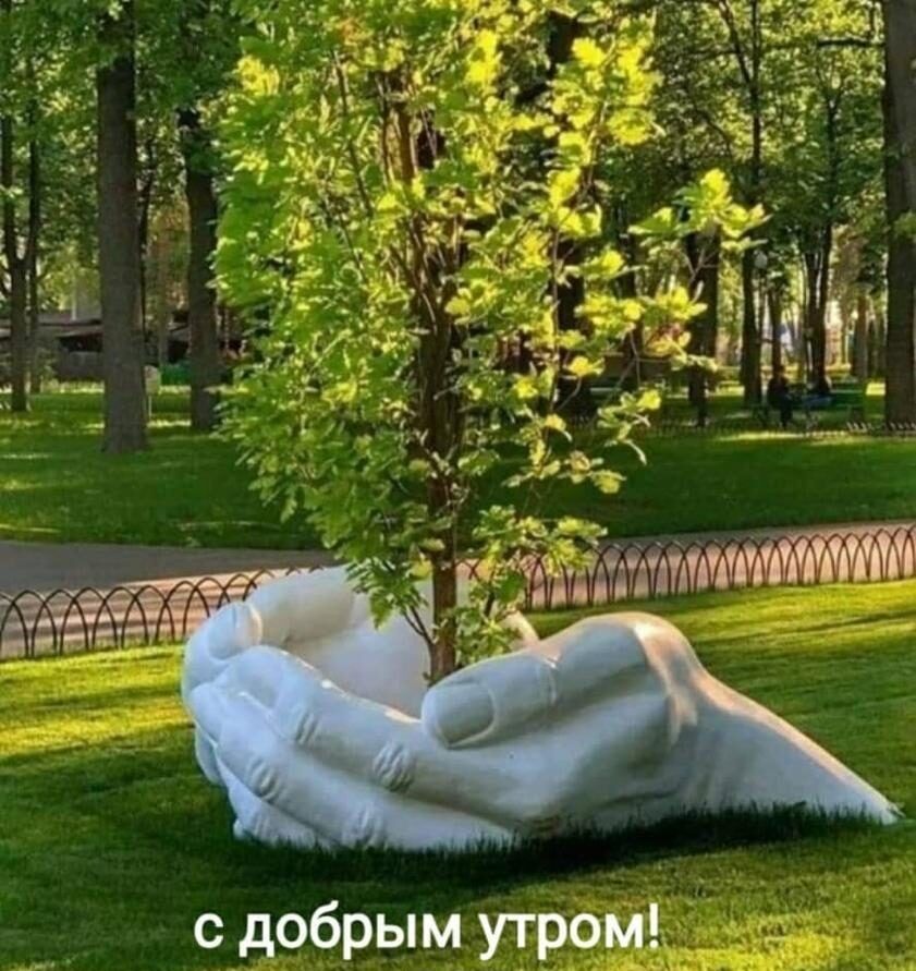 с добрым утром 5