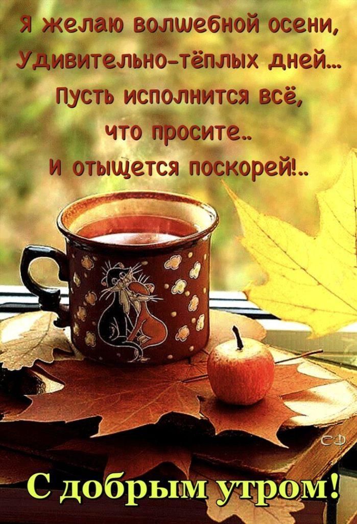 ЁЁ желаю зщшэбнойосни ивитгльнотёплых дней пусть испшшитсы всё что Бросита и ойыщтатса поскоргйд гает_в_