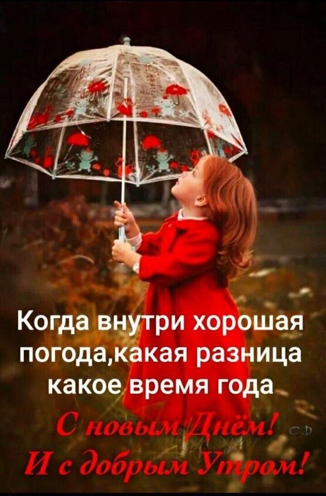 Когда в ри хороша__я погода кая разница какоевремя года _