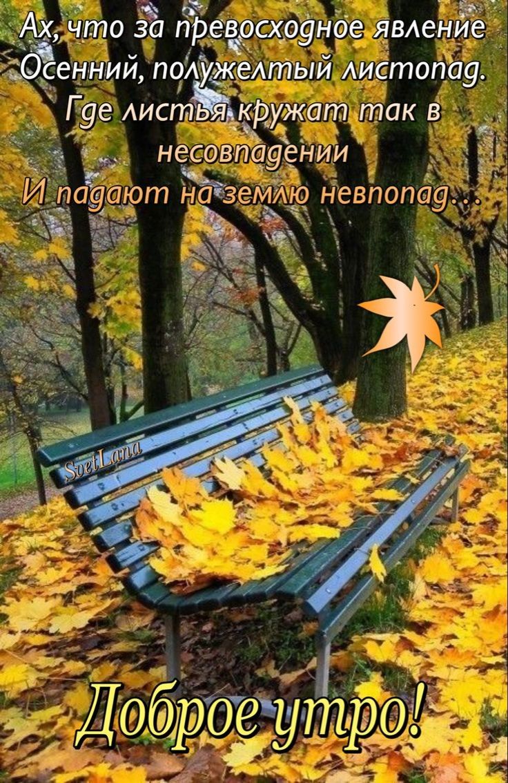 _ что ЁЁЬ преЁрсхоуное Явенд_ сеннгий полделтыи Аистопау кружат так в несовпауении жёг ауают зем