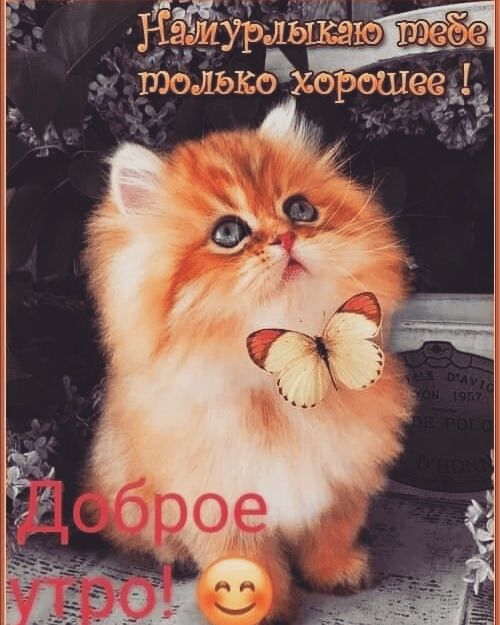 угадай _ ЁпеЩэкдхороШе