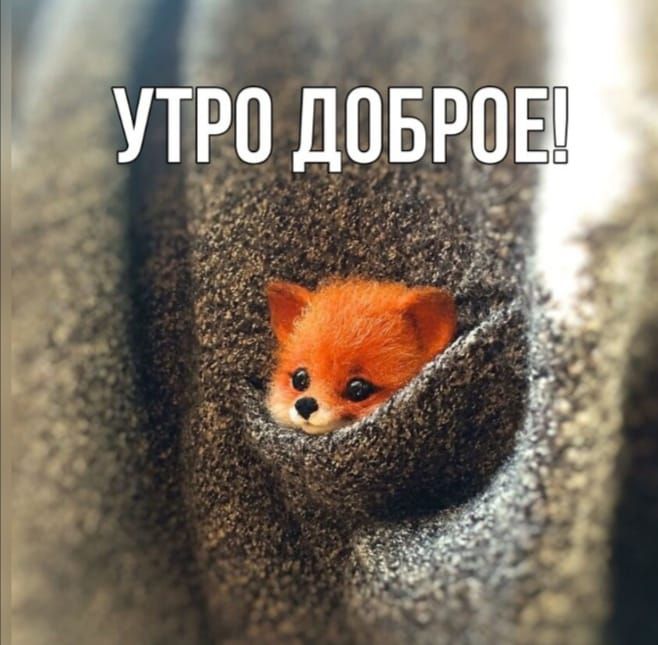 Инги 539 Е В д а и
