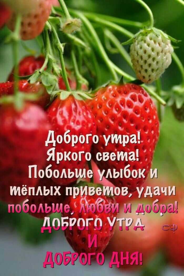 т _ і _в в Доброт утра Яр кот света ПобольщеА АЫбОК тёплых пр ве ву побоМэШе доброту и НЯ