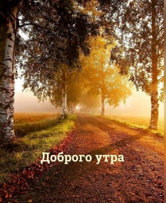 _дбброго утра3 _