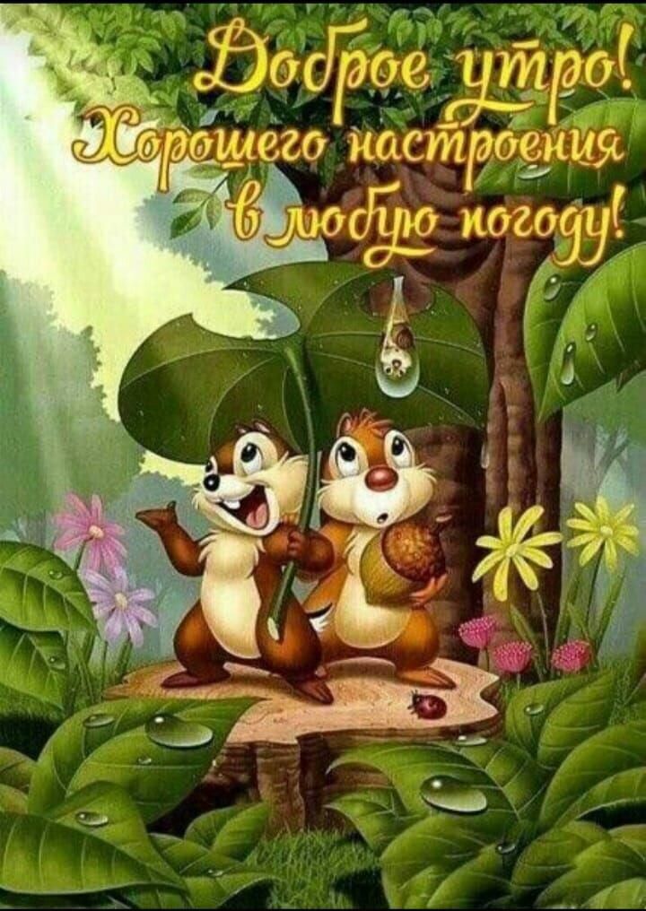 са _дч 0439 эдзщтрэг _ 57 1020 Настроения _ Г ш 310 погоду