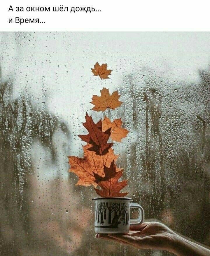 ь д ж и д н е м о н к о а а А