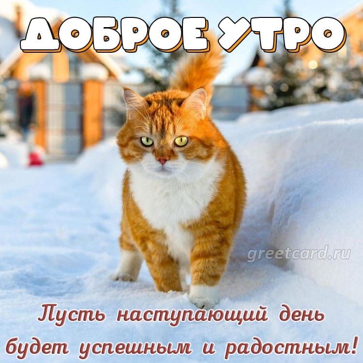 пающий день адостным