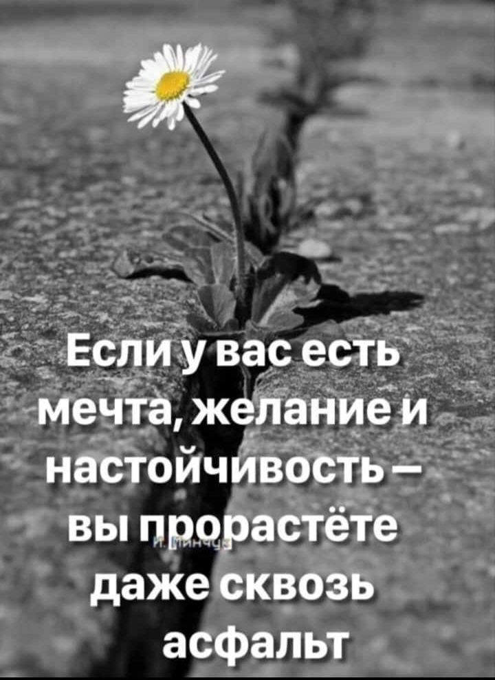 1_ Если у вас есть _ 7 мечта жепап іие и _ настойчивость вы прорастёте даже сквозь асфальт