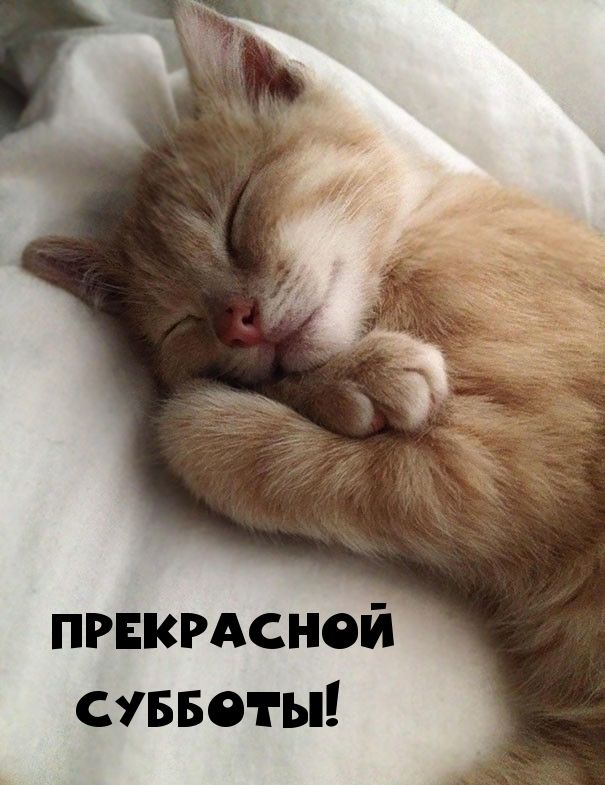 пгнкгАснсй суввоты
