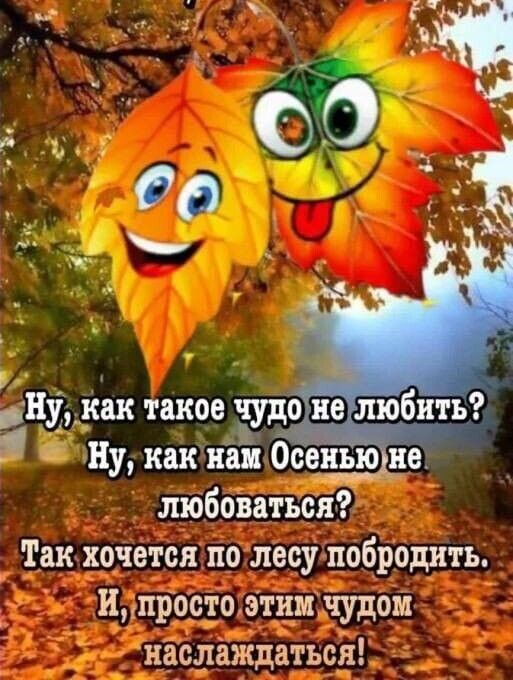 пу как такое чудо 29 любить Ну как ни Оседъю не любова съев Так хочется по лесу побродить ипро_стоэтнмчудом наслаждаться