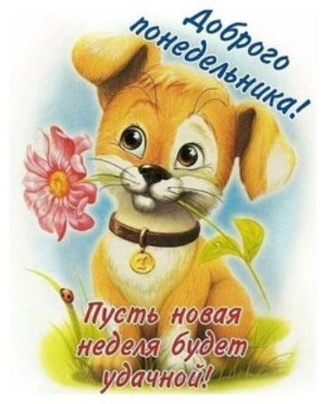 новая усть мёдаЁ 6152777