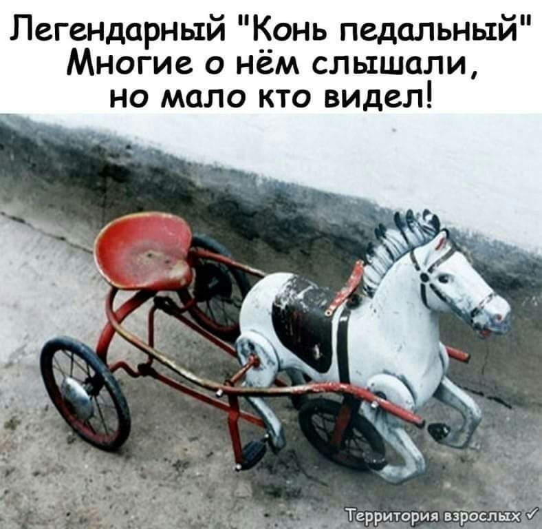 Легендарный Конь педальный Многие о нем слышали но мало кто видел