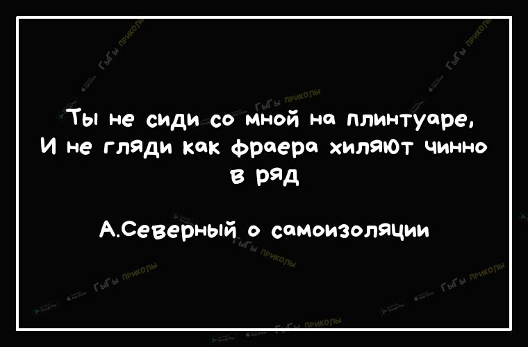 Ты не сиди со мной но плинтусре И не гляди как фрееро хилаЮт чинно в ряд АСеверный о самоизоляции