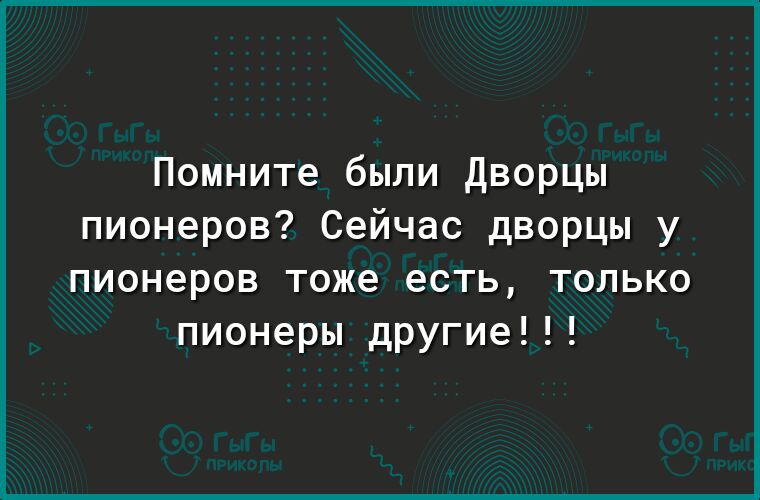 Помните были Дворцы пионеров Сейчас дворцы у пионеров тоже есть только пионеры другие