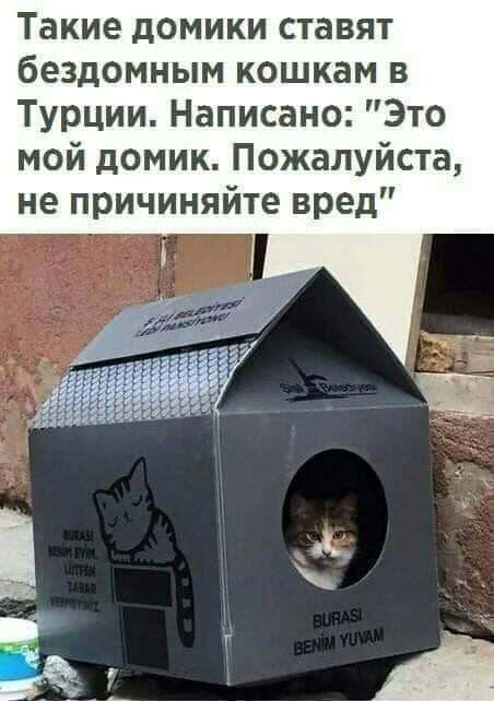 Такие домики ставят бездомным кошкам в Турции Написано Это мой домик Пожалуйста не причиняйте вред