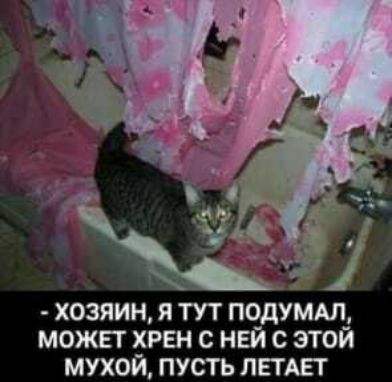 хозяин я тут подумдл может хрен с нвй с этой мухой пусть ЛЕТАЕТ