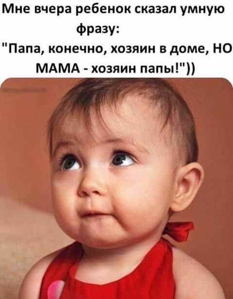 Мне вчера ребенок сказал умную Фразу Папа конечно хозяин в доме НО МАМА хозяин папы
