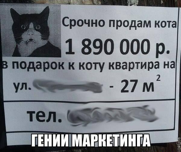 Срочно продам кота 1 890 000 р подарок к коту квартира на УШМ 27 м2 _ПЕН ИШМПННЕЧПИНШ