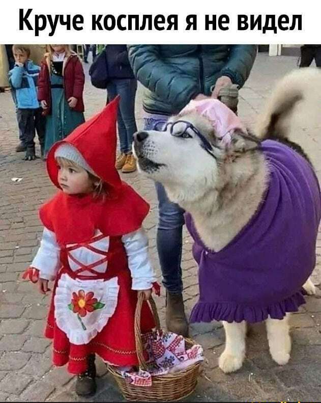 дел 1 _