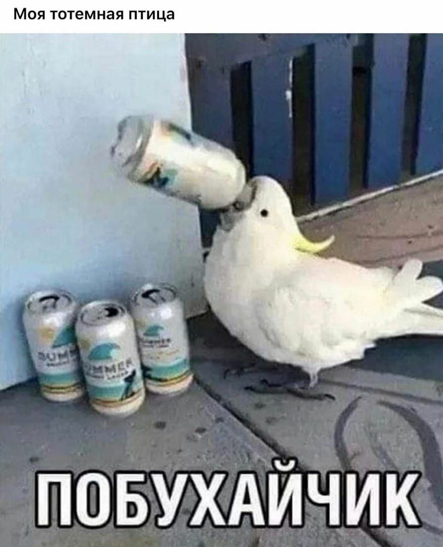 повухАйЧиК