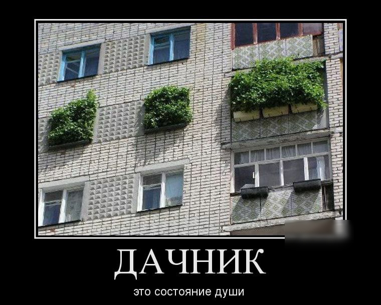 ДАЧНИК ЭТО СОСТОЯНИЕ дУШИ