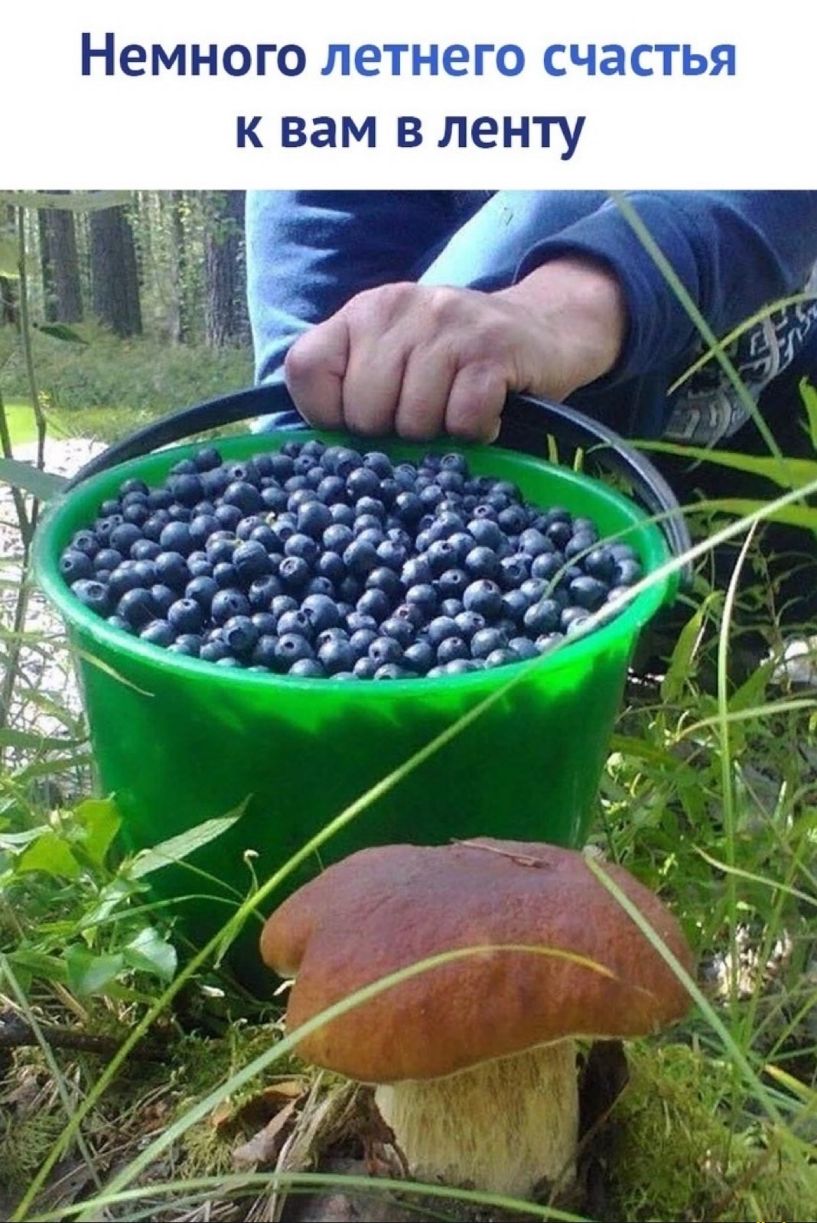 Немного _ г к вам в ленту