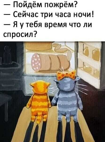 Пойдём пожрём Сейчас три часа ночи Я у тебя время что ли спросил