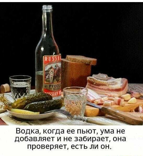 Водка когда ее пьют ума не добавляет и не забирает она проверяет есть ли он