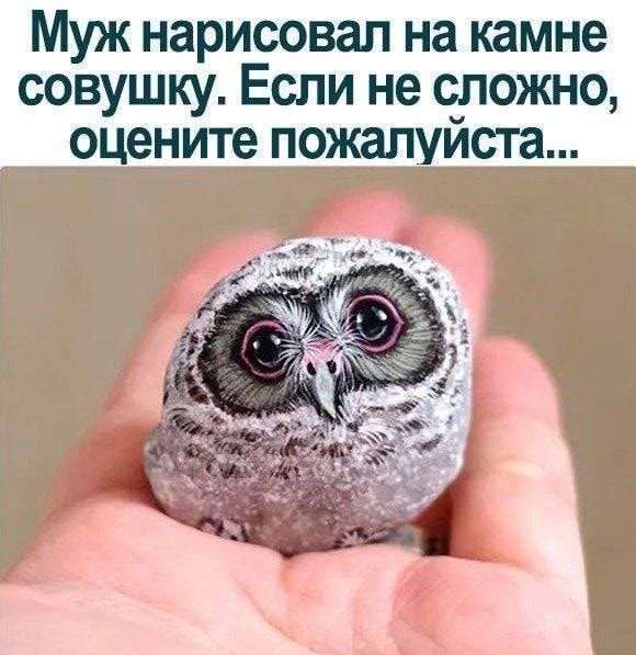Муж нарисовал на камне совушку Если не сложно оцените пожалуйста