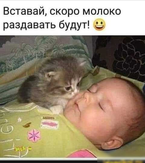 Вставай скоро молоко раздавать будут