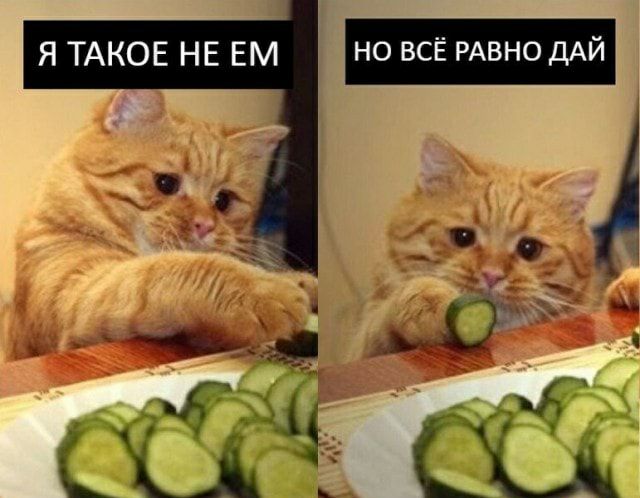 м0 Ш
