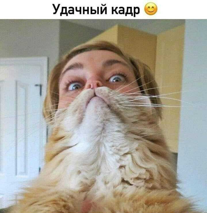 Удачный кадр