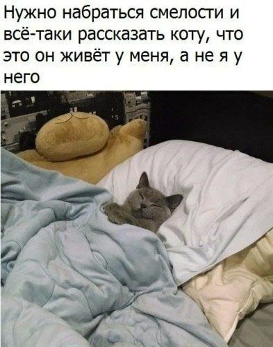 Нужно набраться смелосги и всё таки рассказать коту что это он живёт у меня а не я у него