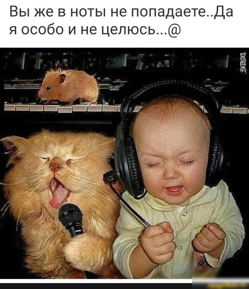 Вы же в ноты не попадаетеДа я особо и не целюсь